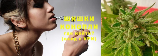 спиды Арсеньев