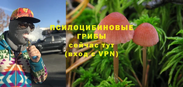 MDMA Premium VHQ Алзамай