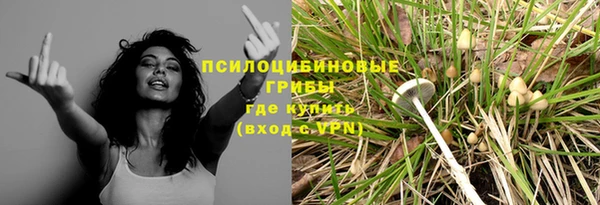 спиды Арсеньев