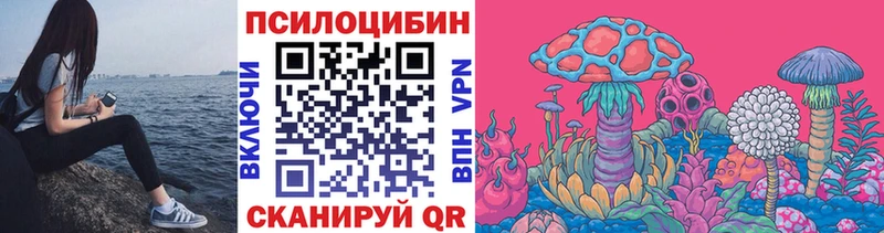 Псилоцибиновые грибы Cubensis  Валдай 