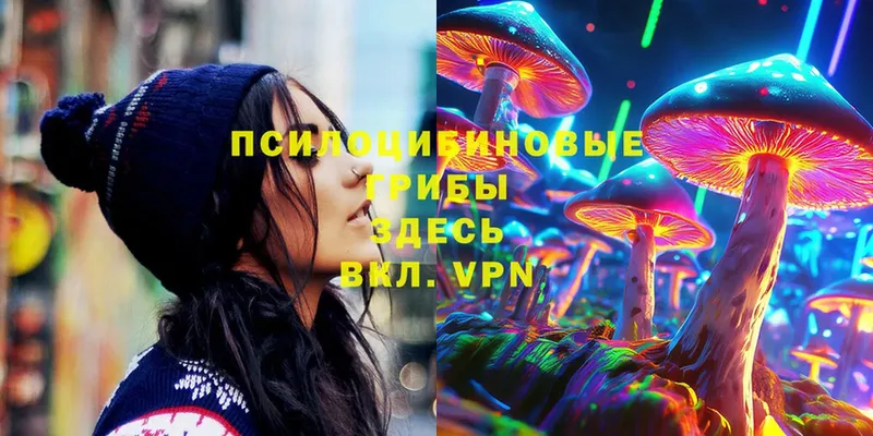 MEGA tor  хочу наркоту  Валдай  Галлюциногенные грибы Psilocybe 